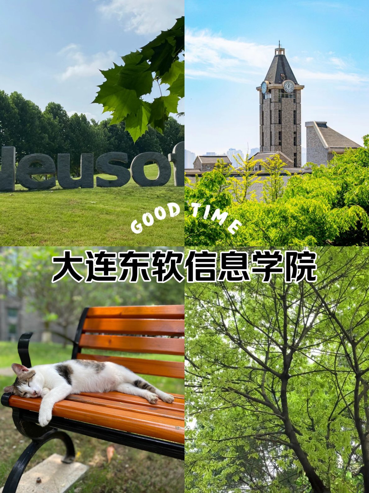 大连东软信息学院 一所值得考虑的信息技术类高校吗？